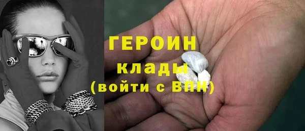 прущие грибы Дмитров