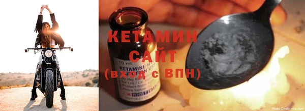прущие грибы Дмитров