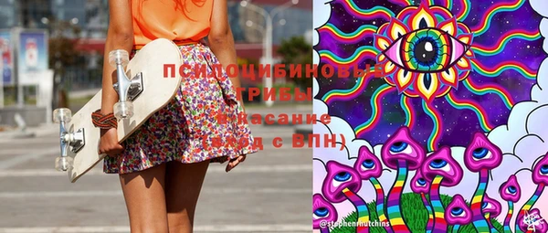 прущие грибы Дмитров