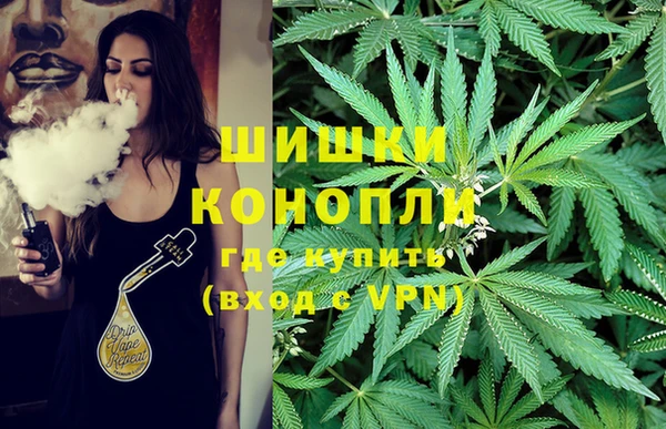 прущие грибы Дмитров