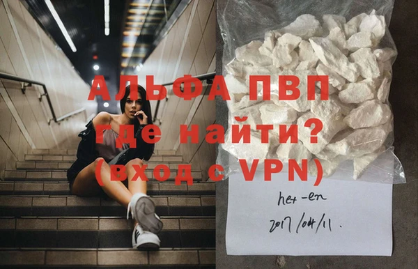 прущие грибы Дмитров