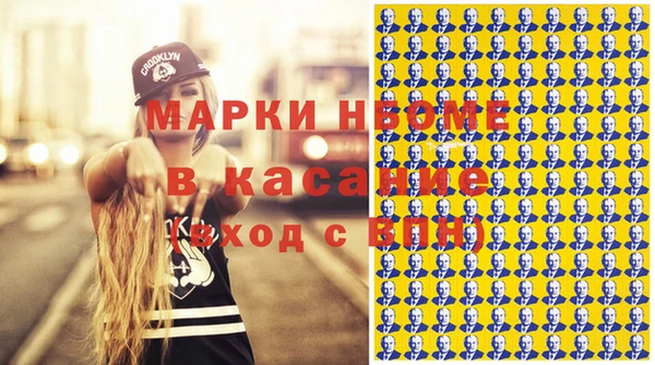 прущие грибы Дмитров