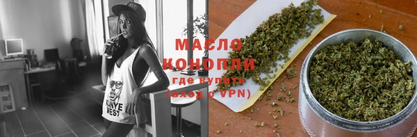 прущие грибы Дмитров
